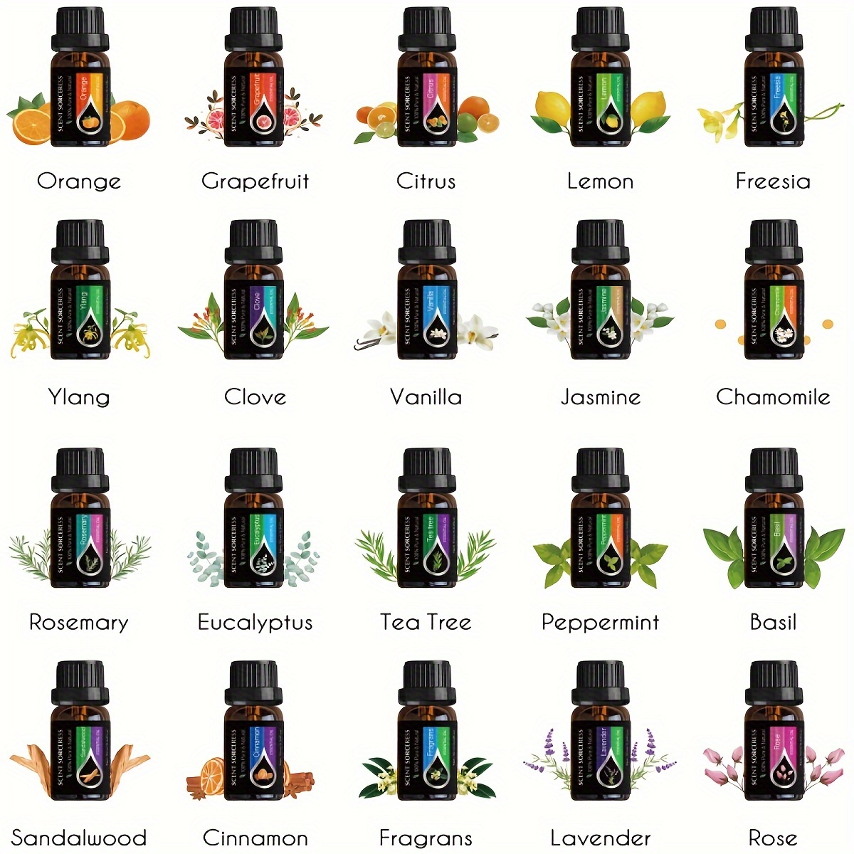20Pcs/Set Classic Brand Essent - Lavender Oil 评论和价格